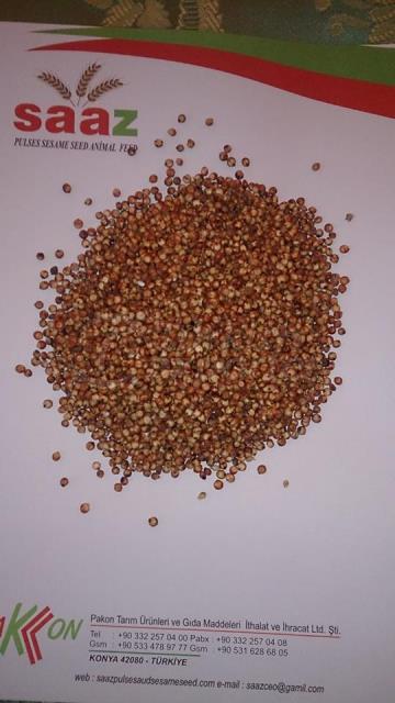 Ukraine Origin Red Sorghum