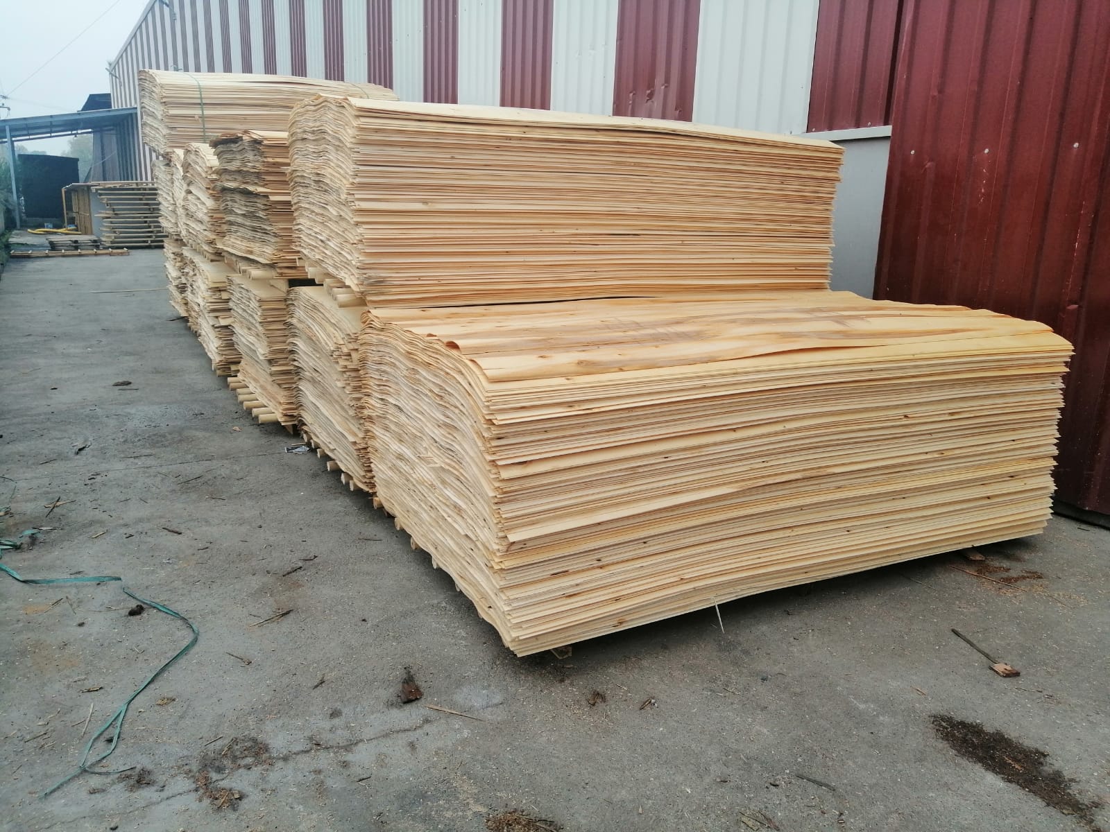 Wood- Timber