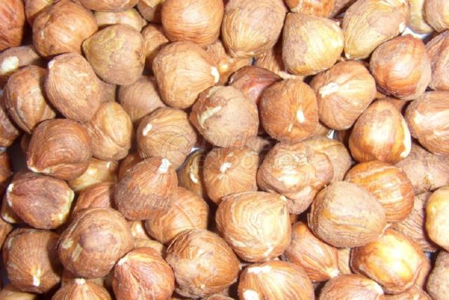 Raw Hazelnuts