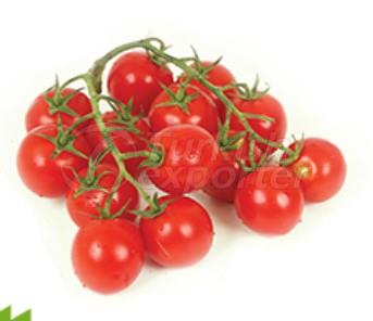 Tomato