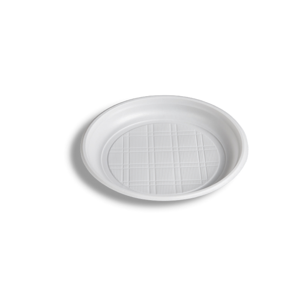 Plastic Plate