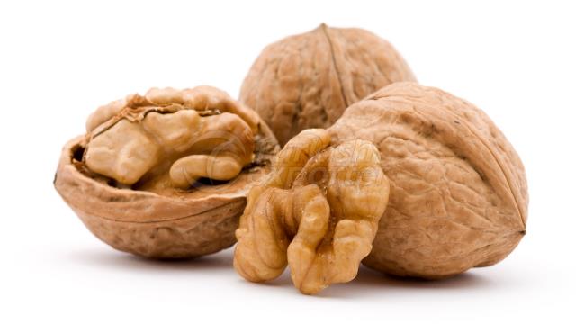 Walnut