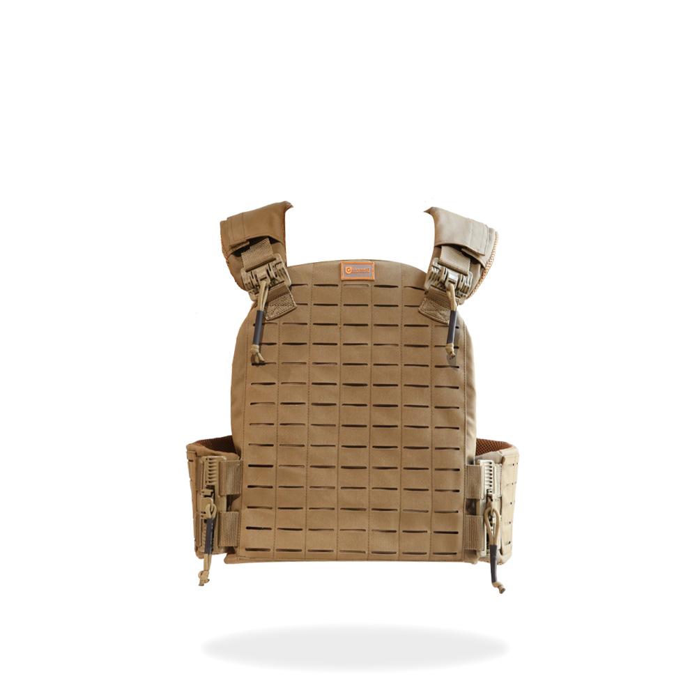 EASY-TO-REMOVE PLATE BEARING VEST