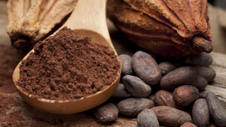 Polvo de cacao