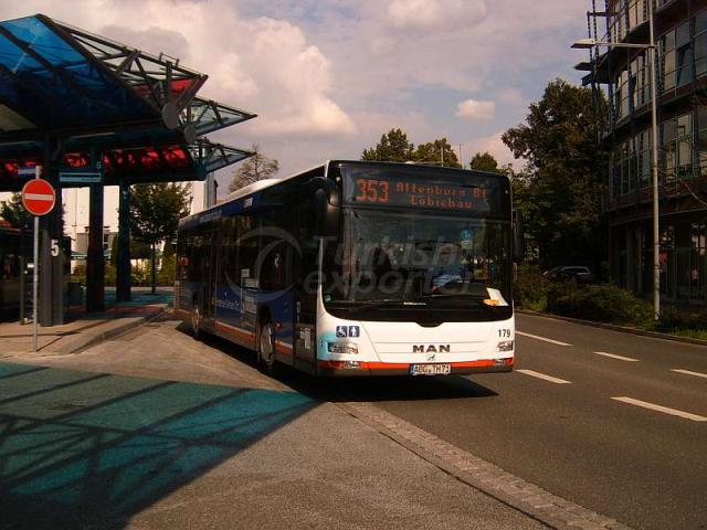 Bus Lion's City