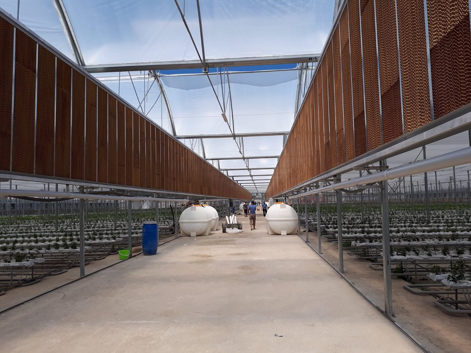 Greenhouse Cooling System