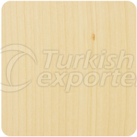 Maple Wooden Parquet