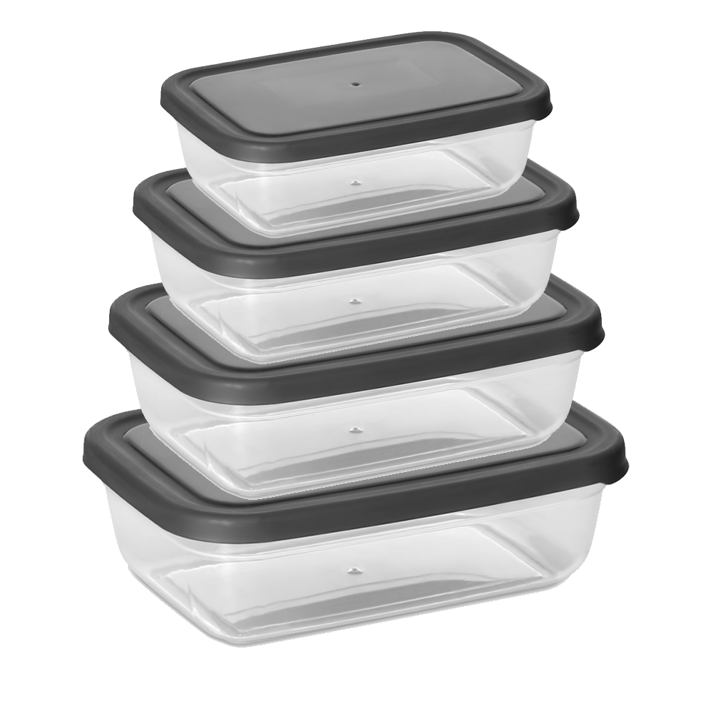 COLORED MAYA RECTANGULAR FOOD CONTAINER SET OF 4