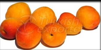 Apricot