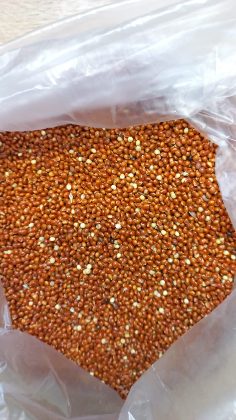 Millet unhulled