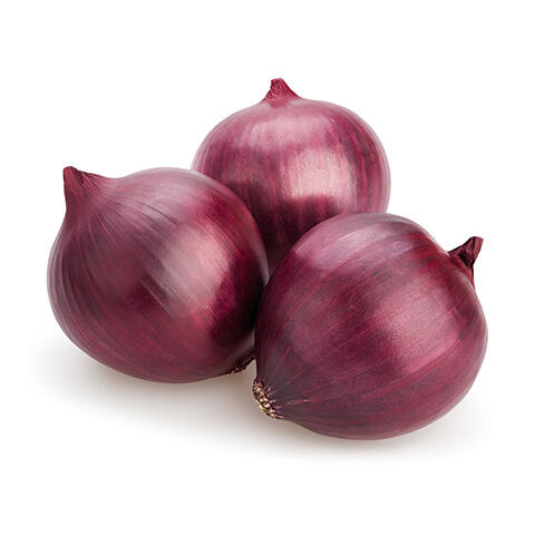 EGYPTIAN ONIONS