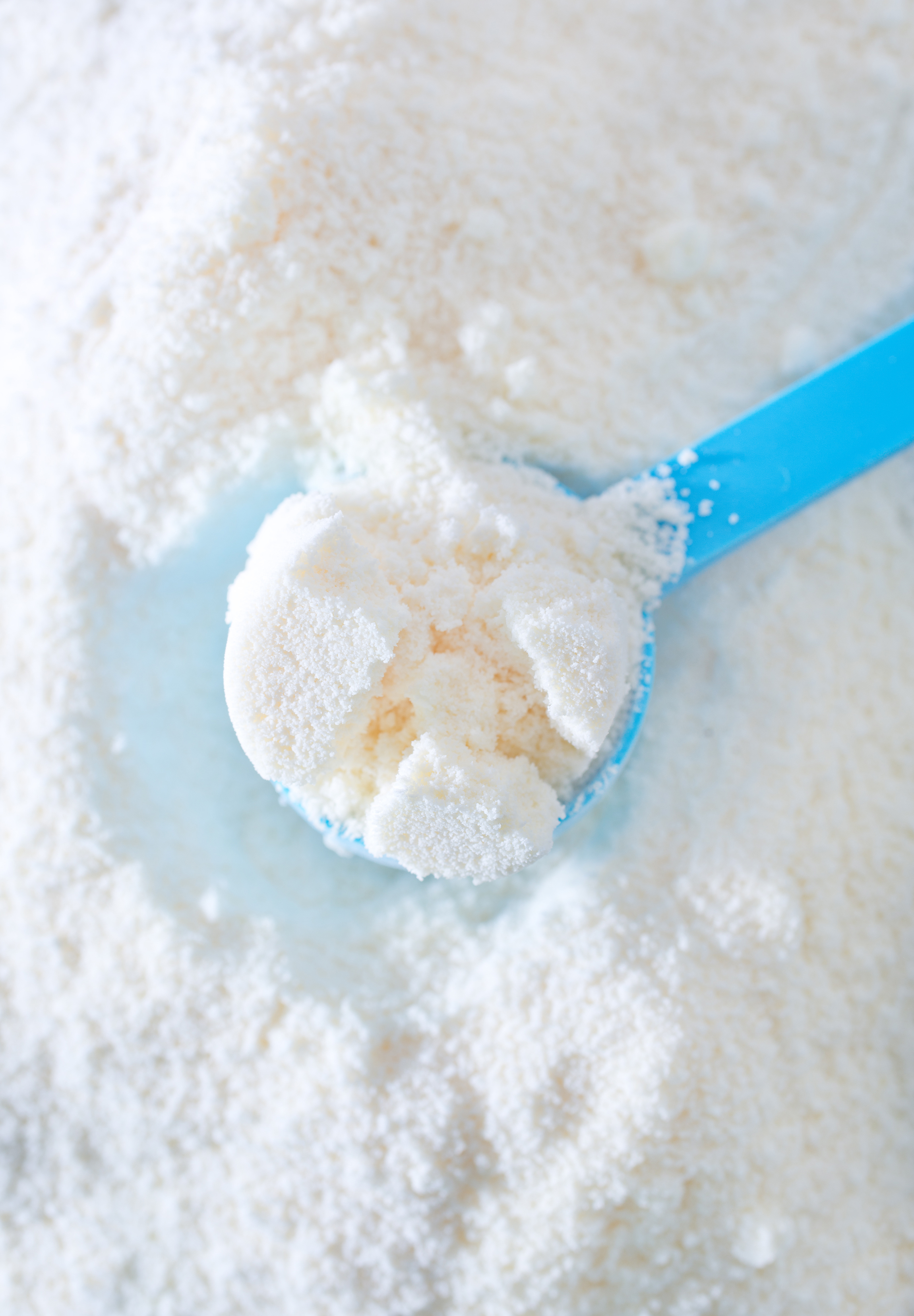 Skimmed milk powder 1,5 fat content 25 kg