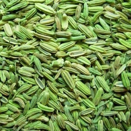fennel