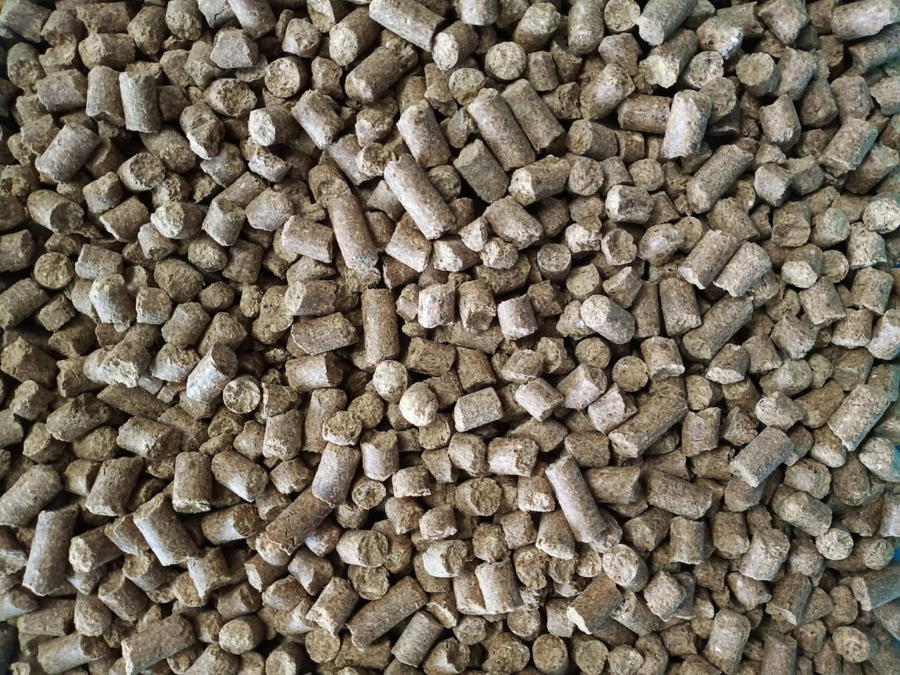 Dairy Gold Cattle Feed