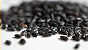 Black Rice