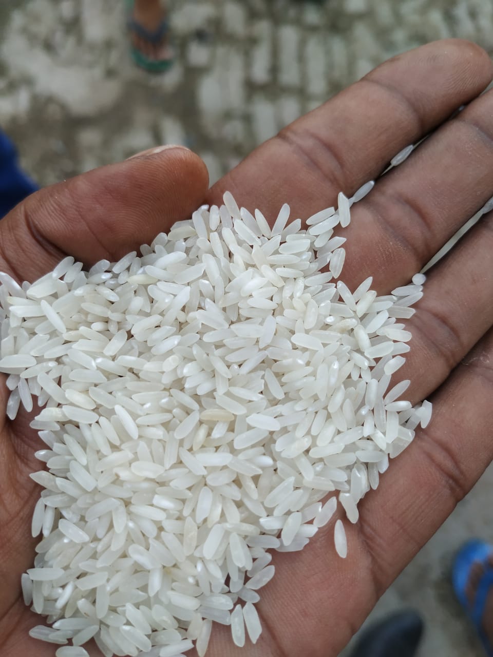 All type rice 