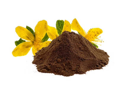 St. John's Wort Extract 