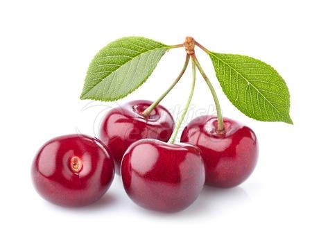 Cherry