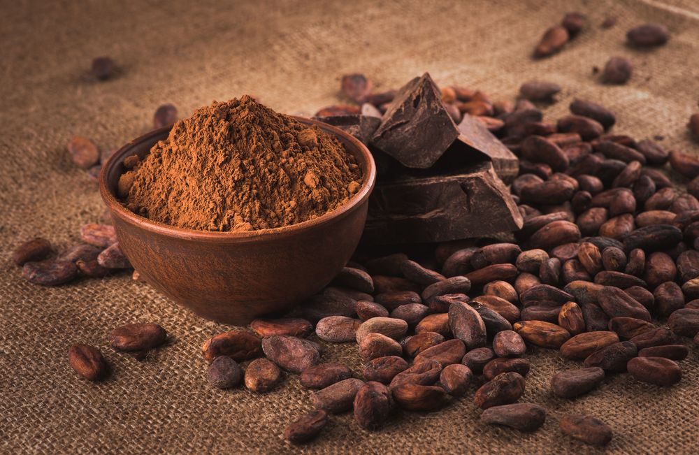 Polvo de cacao