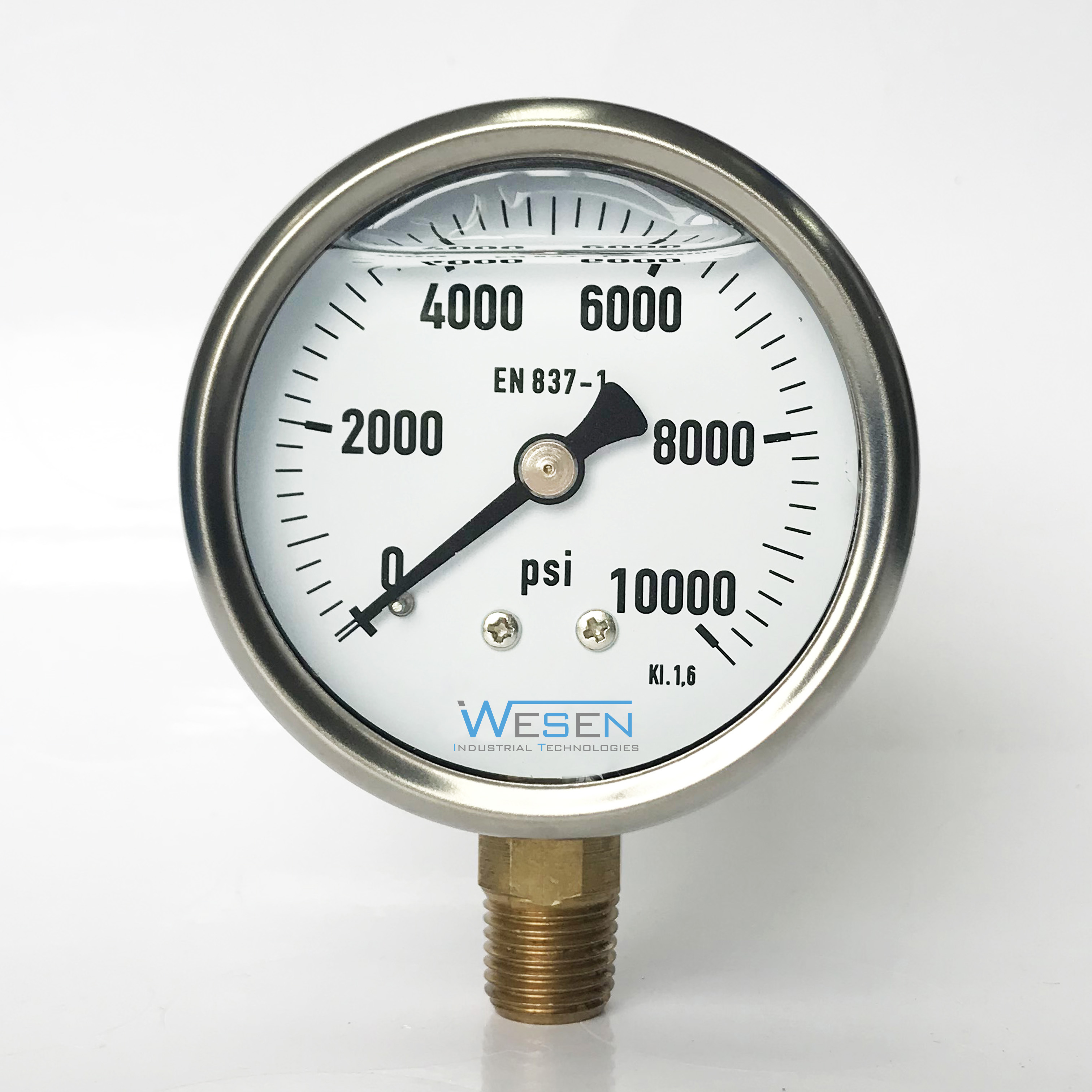 Oil filled Pressure Gauge