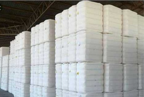 Raw cotton bales