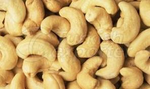 Cashew Nut
