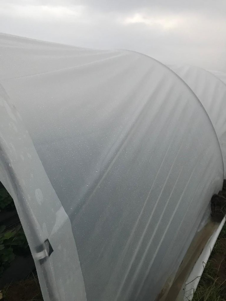 Greenhouse Cover