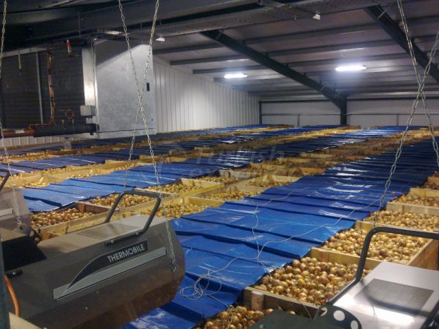 Potato Depot