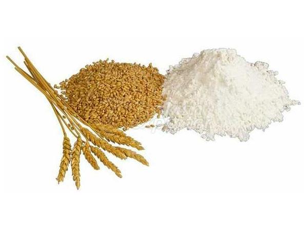 Flour