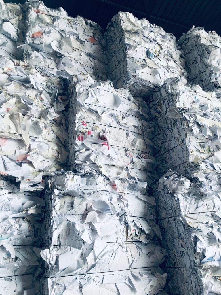  Shredded White School Books