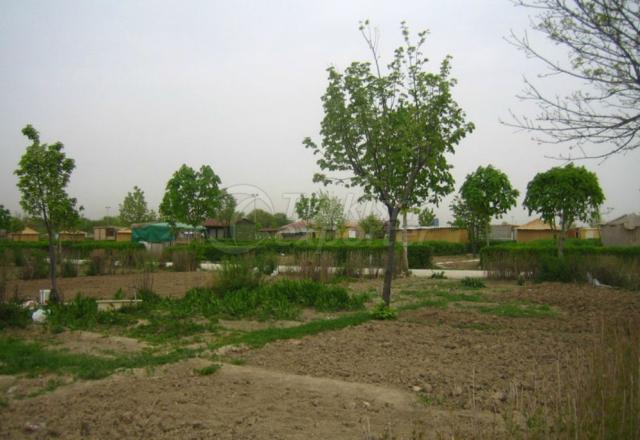 Wood Structural Panels