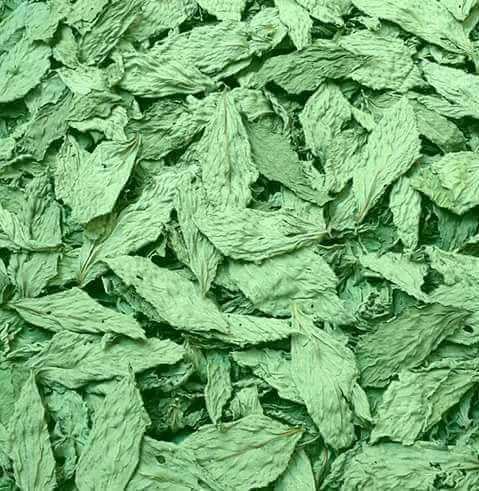 Molokhia Dried leaves