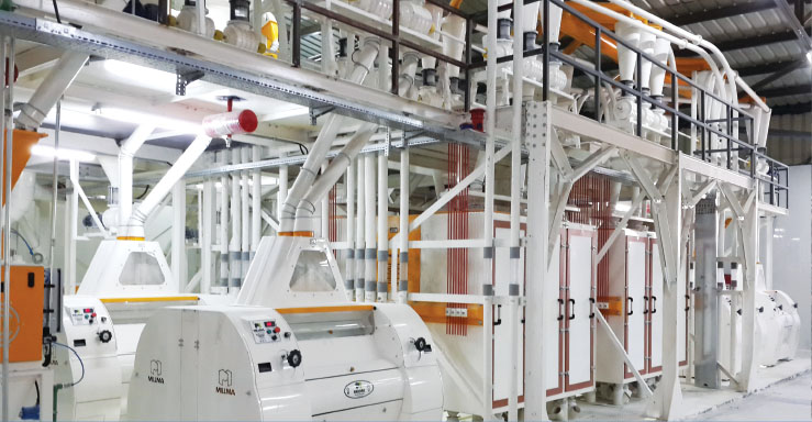 Silos and Steel Chassis