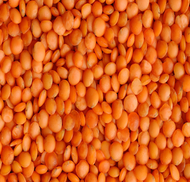 Red Football Lentils