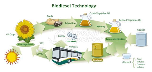 Biodiesel Production from Waste Oil