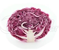 Red Cabbage