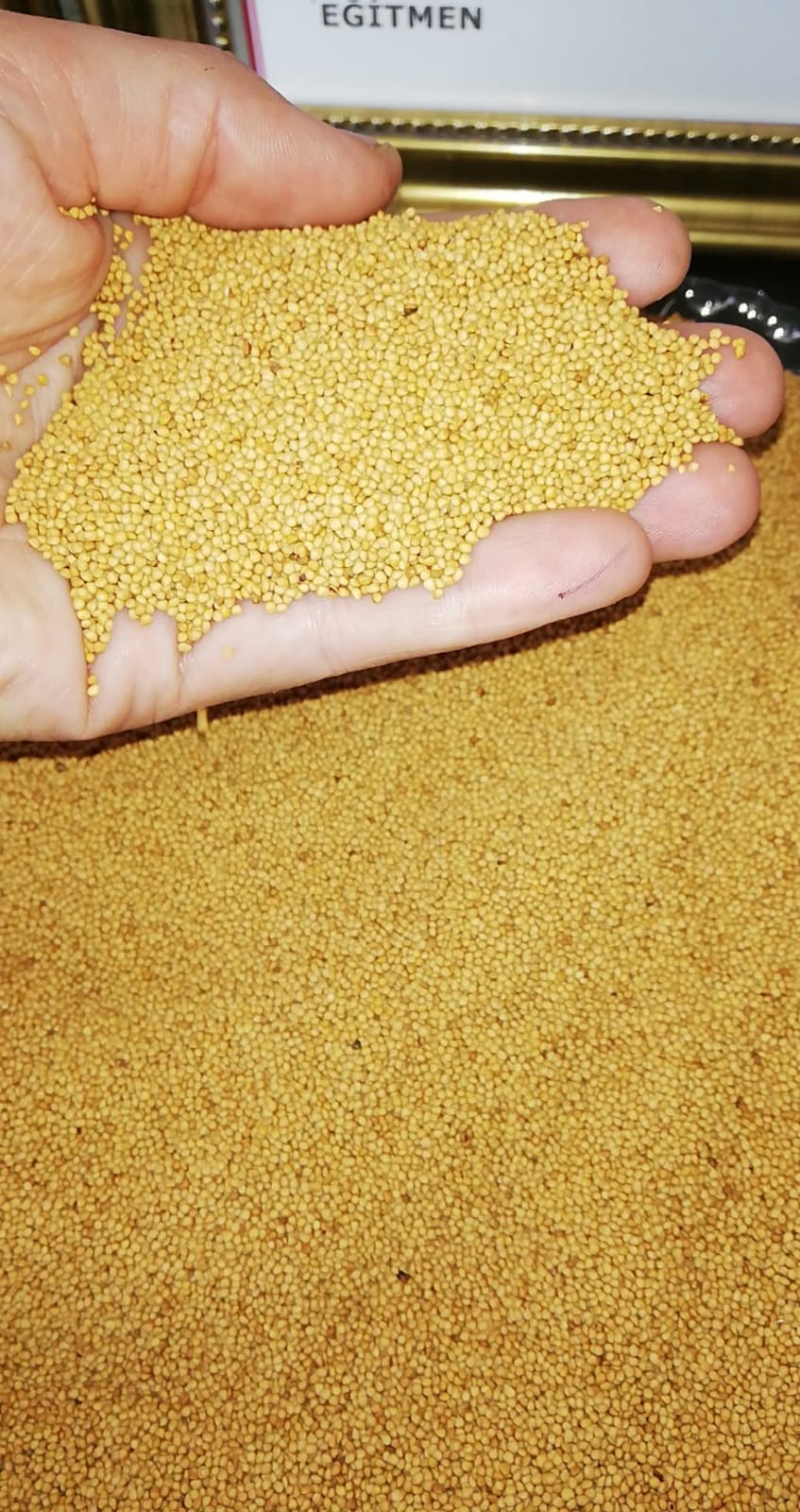 incir cekirdegi-incir tohumu