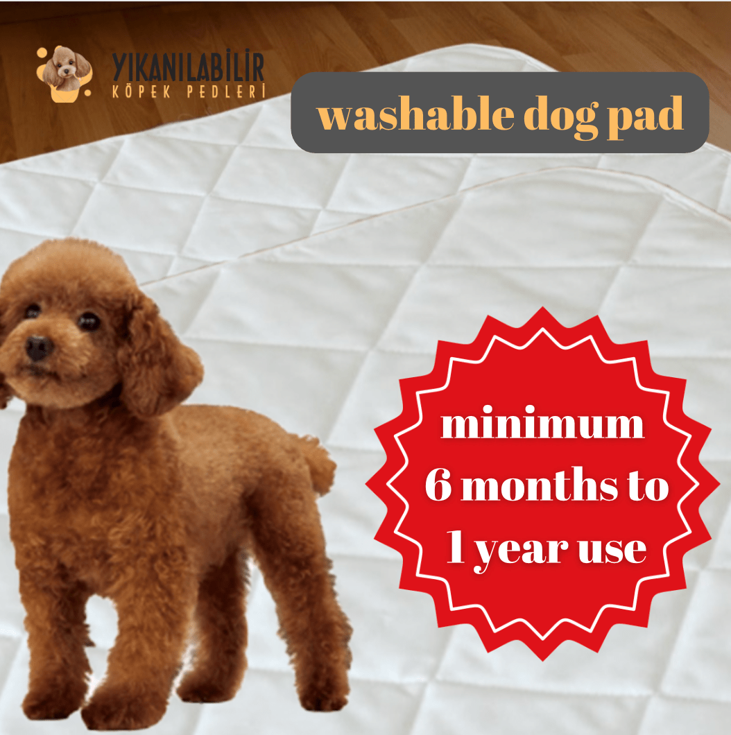 washable dog pee pad