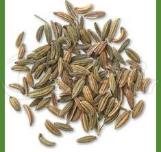 Fennel Seeds