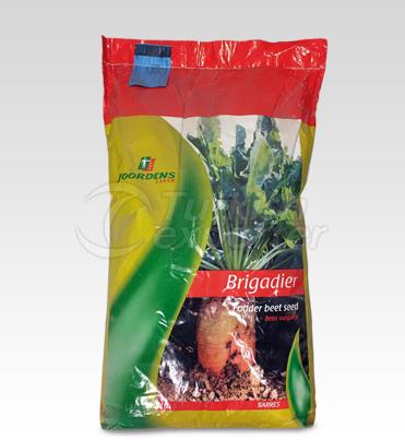 Fodder Beet - Brigadier