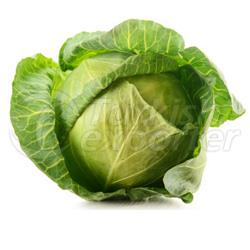 Cabbage