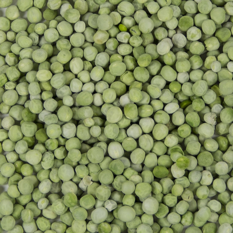 Freeze Dried Pea