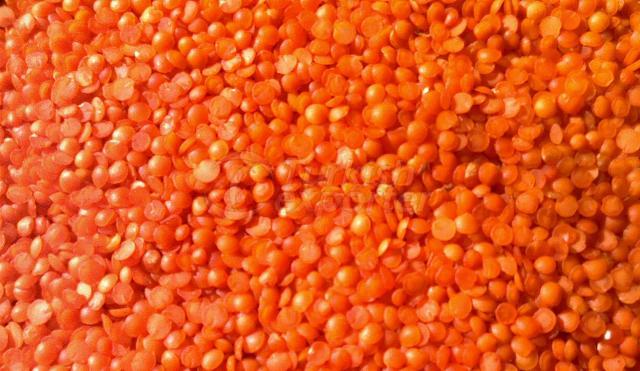 Red Split lentils