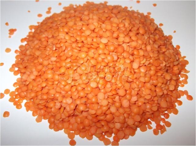 Red Split Lentil