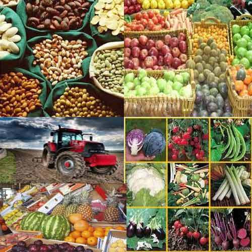 Agricultural Products