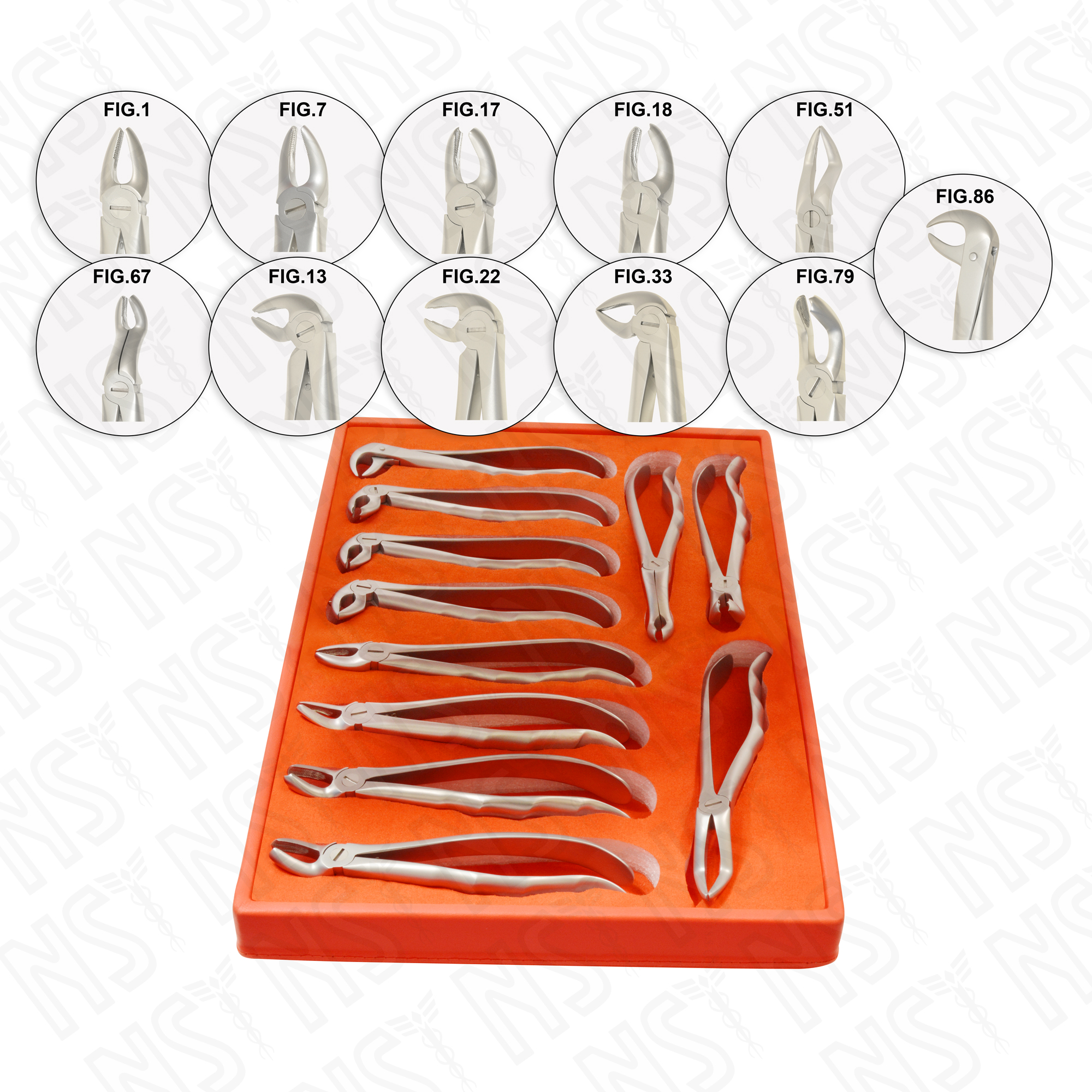 Tooth Extraction Forceps Set of 11 Pcs