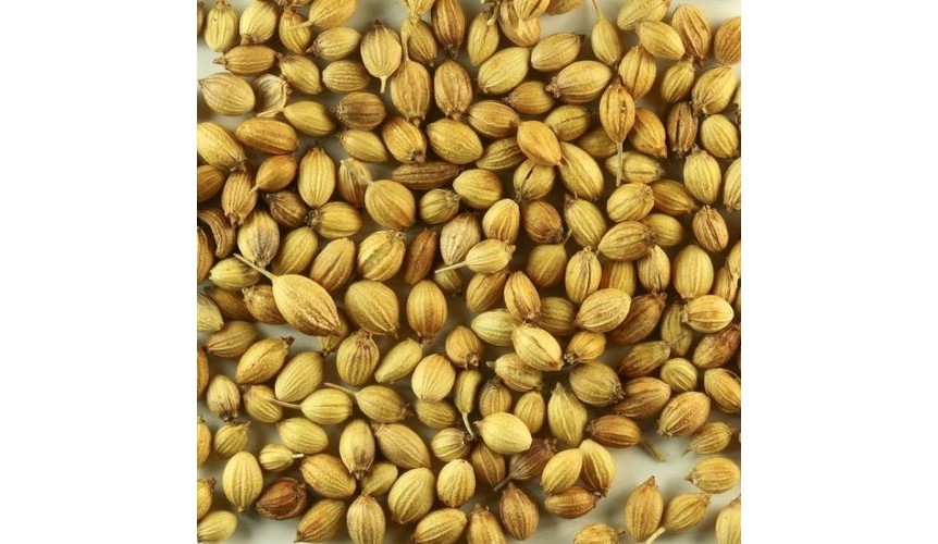 Coriander Seeds