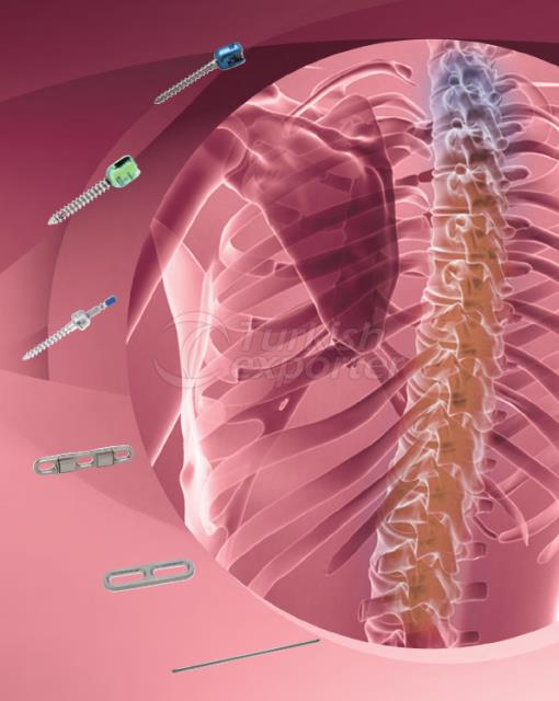 Artrofiks Spinal System