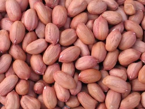 Peanut (groundnut)