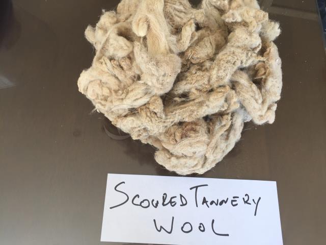 Raw Scoured Tannery Wool